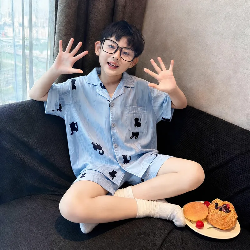 2026 New Children's Summer Ice Silk Pajama Set, Boys' Loungewear · Wholesale · OEM · Worldwide Shipping - Detail 4